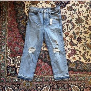 NWT Express Super High Rise Mom Jean 6